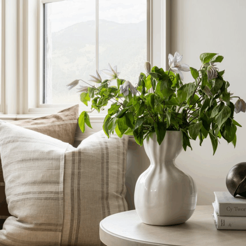 L37381662-MOUNT-COTTON