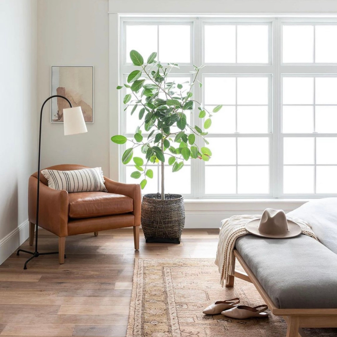 L37868968-MOUNT-COTTON